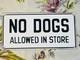 8 X 4 Vintage No Dogs Allowed In Store Porcelain Metal Enamel Store Sign