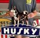 Antique Vintage Old Style Sign Husky Oil 24x18 Not Porcelain Made Usa