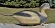 Mint Signed Extremely Rare & Early 1940 Ben Schmidt Old Squaw Wood Duck Decoy