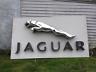 Original Jaguar Dealership Sign 60's Rare One Of A Kind 10.5' X 6' Vintage