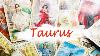 Taurus Singles The New Dreamy Person Will Help You Move Away From Someone Inconsistent