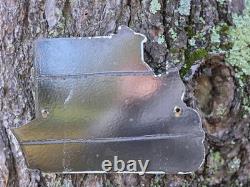 VINTAGE DONALD DUCK FROZEN FLORIDA ORANGE JUICE PORCELAIN SIGN 11x9