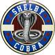 Vintage Ford Shelby Cobra Porcelain Dealership Sign Gas Station Pump Plate Oil