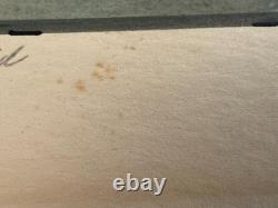 Vtg William P. Tyner Pintail Duck Orig. Signed Watercolor Painting