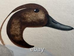 Vtg William P. Tyner Pintail Duck Orig. Signed Watercolor Painting